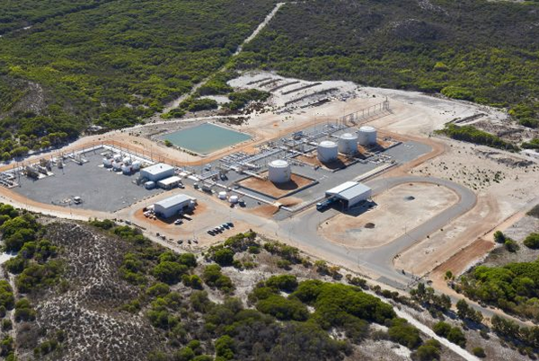 04C Plant A 600x399 1